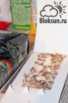 Клеевые ловушки от пищевой моли (1шт)